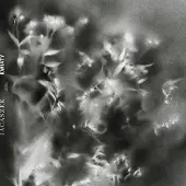 Konkurrent Jacaszek - Kwiaty (LP)