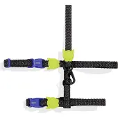Zee.dog Nox Harnas + Lijn - Kattenharnas -