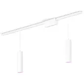 Philips Hue Perifo Basisset Voor Recht Plafond (2 Hanglampen)