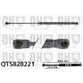 Quinton Hazell QTS828221 Gasveer achterklep