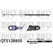 Quinton Hazell QTS128856 Gasveer achterklep