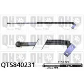 Quinton Hazell QTS840231 Gasveer achterklep