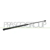PRASCO VG0219055 Gasveer achterklep