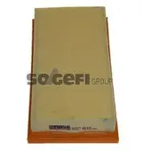 COOPERSFIAAM FILTERS PA7377 Luchtfilter