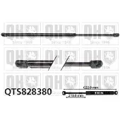 Quinton Hazell QTS828380 Gasveer motorkap