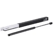 RIDEX 219G0298 Gasveer achterklep