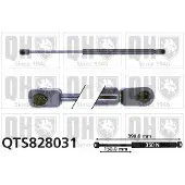 Quinton Hazell QTS828031 Gasveer achterklep