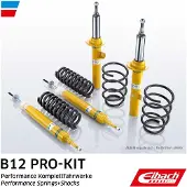 EIBACH E90-25-019-02-22 Schokdemper met veer
