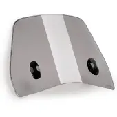 Puig Traffic 5595h Voorruit