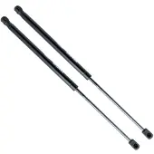Einparts EP9805GS Gasveer achterklep