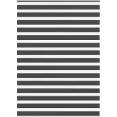 vidaXL Zebra rolgordijn 160x200 cm stofbreedte 155,9 cm zwart