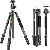 Kf Statief K&F Concept X284C4+BH-36, Statief, Grijs