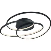 TRIO Moderne plafondlamp Gale zwart