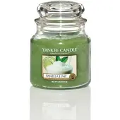 Yankee candle Geurstokjes Geurkaarsen Vanilla Lime 411 g
