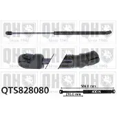 Quinton Hazell QTS828080 Gasveer achterklep