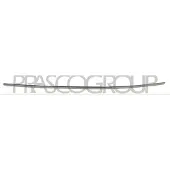 BLIC Sierlijst/beschermstrip, bumper 5703-05-3518976P