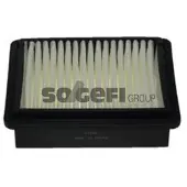 COOPERSFIAAM FILTERS PA7447 Luchtfilter