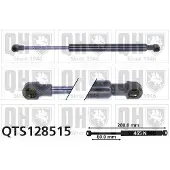 Quinton Hazell QTS128515 Gasveer achterklep