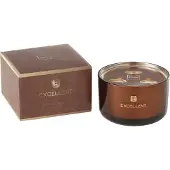 J-Line geurkaars Large Excellent Siberia Fir bruin - glas - 40 uur brandduur - 13 x 13 x 8 cm