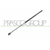 PRASCO LA4029055 Gasveer achterklep