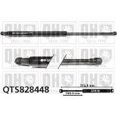 Quinton Hazell QTS828448 Gasveer achterklep