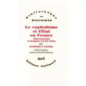 Gallimard Le Capitalisme et l'État en France