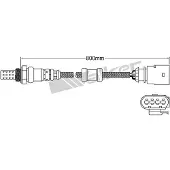 VEGAZ ULS-424 Lambdasonde