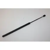 AUTOMEGA 100001610 Gasveer achterklep