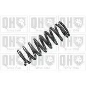 Quinton Hazell QCS6541 Chassisveer