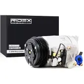 RIDEX 447K0087 Aircopomp