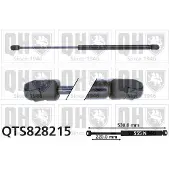 Quinton Hazell QTS828215 Gasveer achterklep