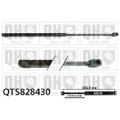 Quinton Hazell QTS828430 Gasveer achterklep