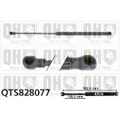 Quinton Hazell QTS828077 Gasveer achterklep