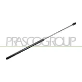 PRASCO OP0349065 Gasveer achterklep