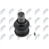 NTY ZSD-PL-001 Fuseekogel