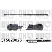 Quinton Hazell QTS828026 Gasveer achterklep