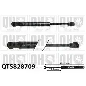 Quinton Hazell QTS828709 Gasveer, legbodem (Koffer- / Laadruimte)