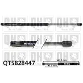 Quinton Hazell QTS828447 Gasveer achterklep