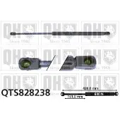 Quinton Hazell QTS828238 Gasveer achterklep