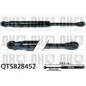 Quinton Hazell QTS828452 Gasveer achterklep