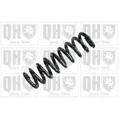 Quinton Hazell QCS6234 Chassisveer