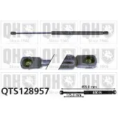 Quinton Hazell QTS128957 Gasveer achterklep