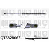 Quinton Hazell QTS828063 Gasveer achterklep