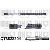 Quinton Hazell QTS828204 Gasveer achterklep