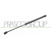 PRASCO RN3259065 Gasveer achterklep