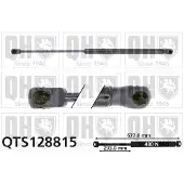 Quinton Hazell QTS128815 Gasveer achterklep