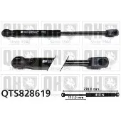 Quinton Hazell QTS828619 Gasveer motorkap