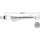VEGAZ ULS-440 Lambdasonde