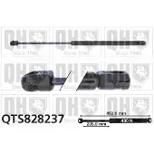 Quinton Hazell QTS828237 Gasveer achterklep