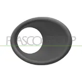 PRASCO PG0111241 Frame, mistlamp